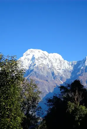 Mardi himal trek