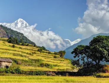 Annapurna Base Camp Trek